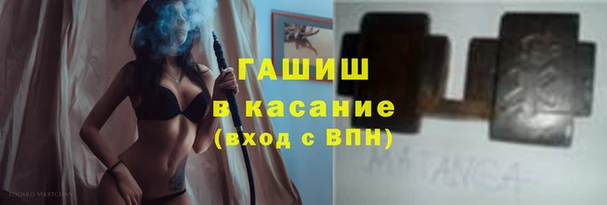индика Михайлов