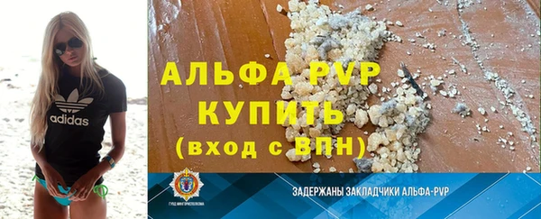 индика Михайлов