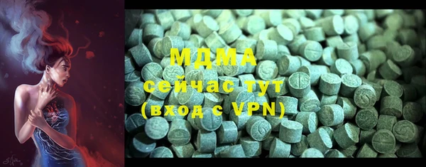 индика Михайлов