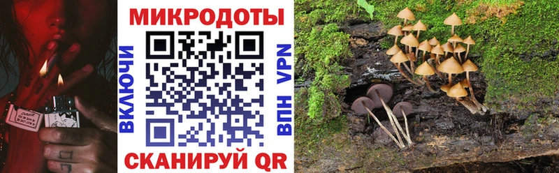 наркотики Гусиноозёрск Псилоцибиновые грибы ЛСД