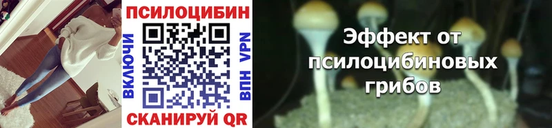 Галлюциногенные грибы мицелий Гусиноозёрск